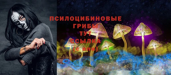 гидропоника Армянск