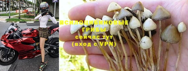 марки lsd Аркадак