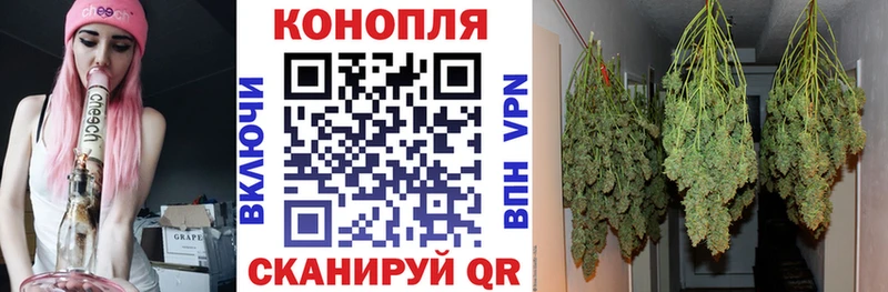наркота  Мыски  Шишки марихуана Bruce Banner 